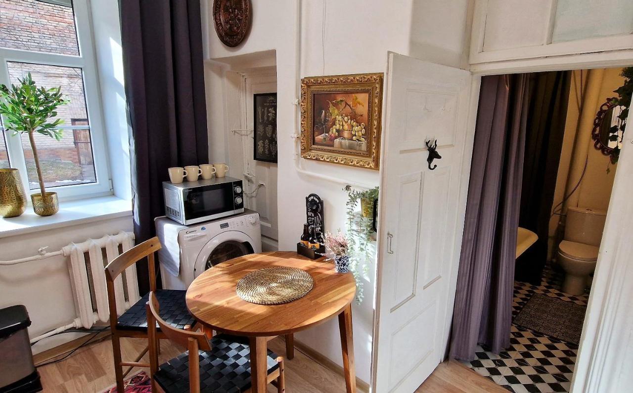 Doma3 Luxury Vilnius Apartment 외부 사진